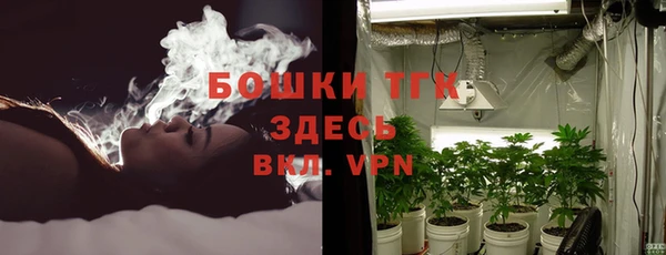 крисы Богородицк