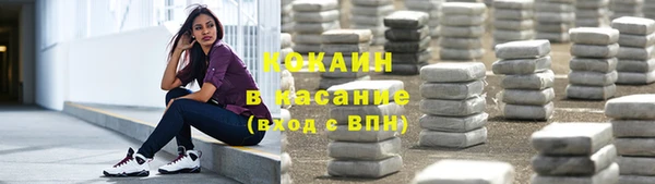 крисы Верея