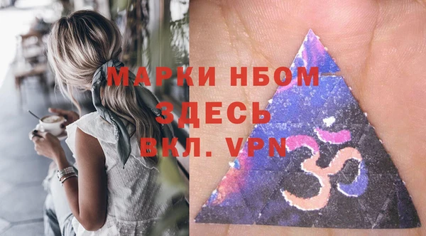 крисы Богородицк